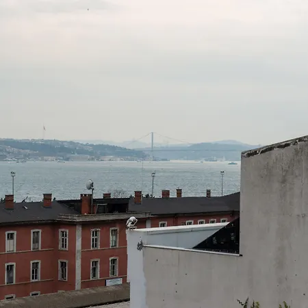 Mr. Bird Provincia di Istanbul